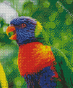 Rainbow Lory Bird Diamond Painting