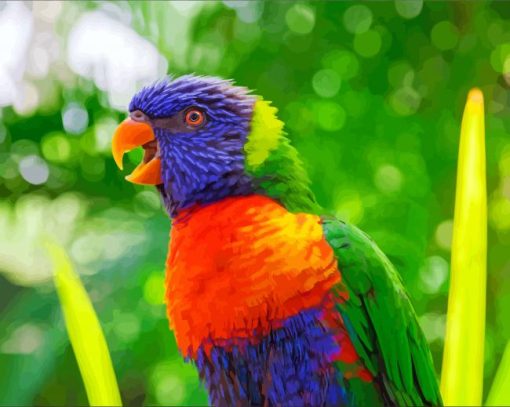 Rainbow Lory Bird Diamond Painting