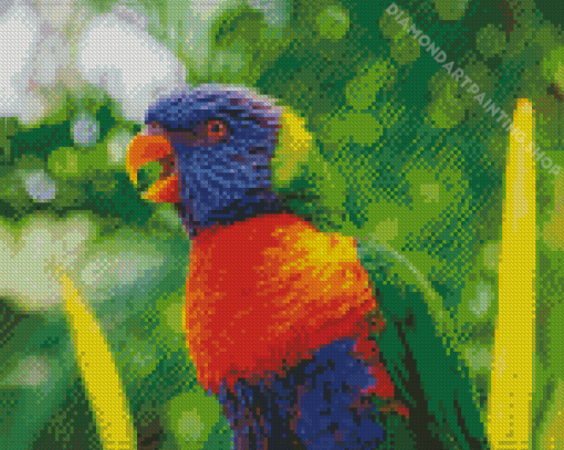 Rainbow Lory Bird Diamond Painting