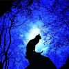 Trees And Lonely Cat Silhouette Diamond Painting