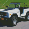 White 1977 Bronco Four Wheel Drive Diamond Painting