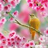 Aesthetic Bird Pink Flower Diamond Painting