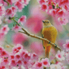 Aesthetic Bird Pink Flower Diamond Painting