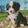 Bernedoodle Puppy Diamond Painting