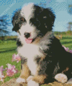 Bernedoodle Puppy Diamond Painting