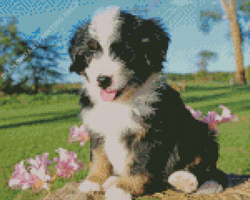 Bernedoodle Puppy Diamond Painting