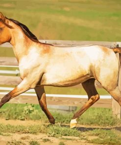 Blonde Lusitano Horse Diamond Painting