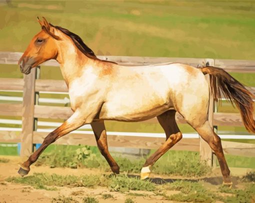 Blonde Lusitano Horse Diamond Painting