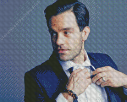 Classy Ramin Karimloo Diamond Painting