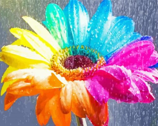 Colorful Daisy Under Rain Diamond Painting