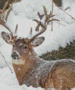 Deer In Snow Diamond Painting