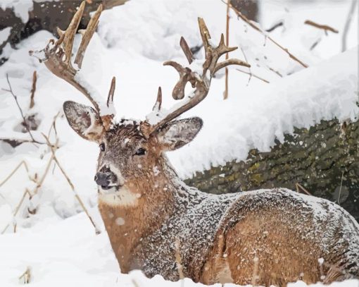 Deer In Snow Diamond Painting