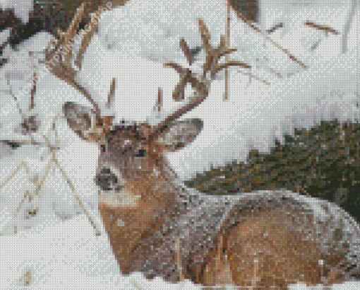 Deer In Snow Diamond Painting