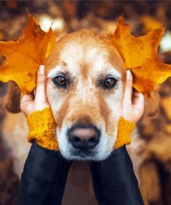 Dogs In Autumn Diamond Painting