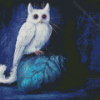 Fantasy Cat Owl Diamond Painting