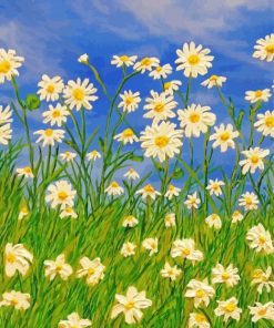 Field Of Daisies Flowers Art Diamond Painting