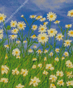 Field Of Daisies Flowers Art Diamond Painting