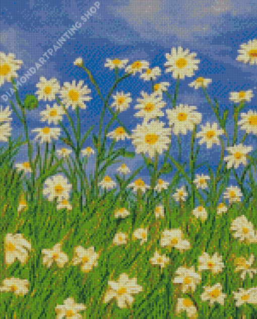 Field Of Daisies Flowers Art Diamond Painting