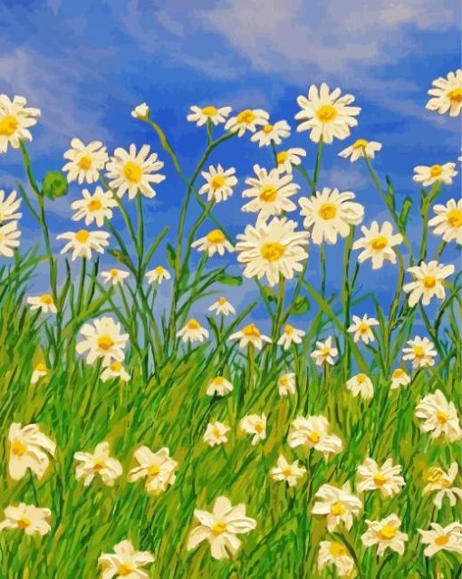 Field Of Daisies Flowers Art Diamond Painting