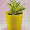 Houseplant In Yellow Pot Diamond Painting