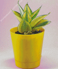 Houseplant In Yellow Pot Diamond Painting