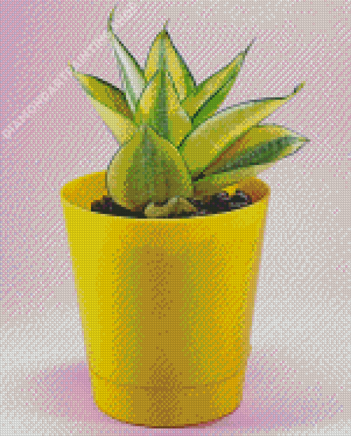 Houseplant In Yellow Pot Diamond Painting