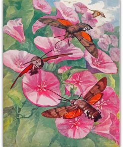 Hummingbird Hawk Moth On Flowers Diamond Painting