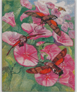 Hummingbird Hawk Moth On Flowers Diamond Painting