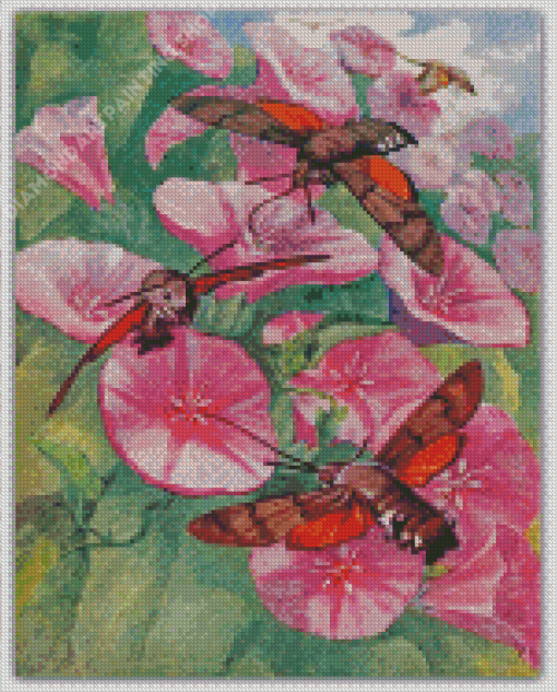 Hummingbird Hawk Moth On Flowers Diamond Painting