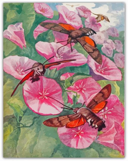 Hummingbird Hawk Moth On Flowers Diamond Painting