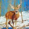 Male White Tailed Deer Diamond Painting