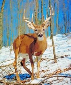 Male White Tailed Deer Diamond Painting