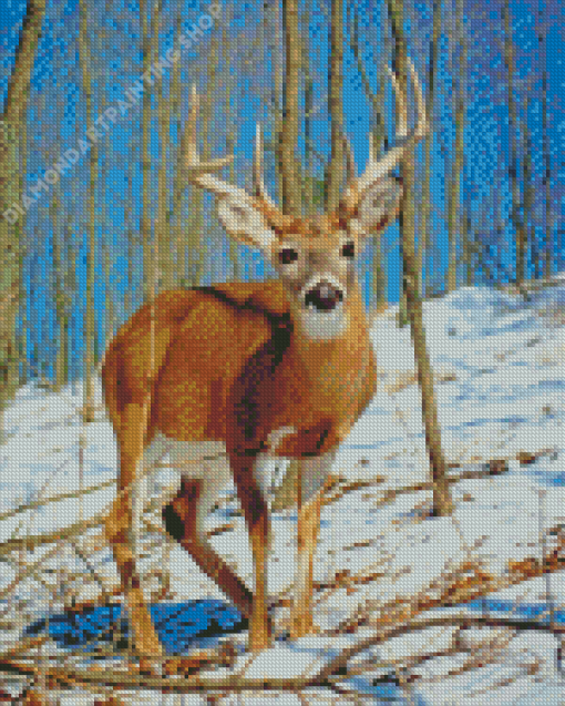 Male White Tailed Deer Diamond Painting