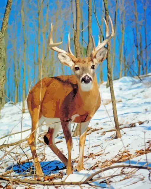 Male White Tailed Deer Diamond Painting