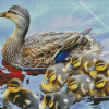 Mallard Duck And Baby Ducks Diamond Painting