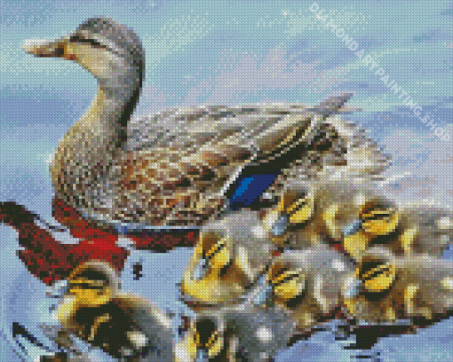 Mallard Duck And Baby Ducks Diamond Painting