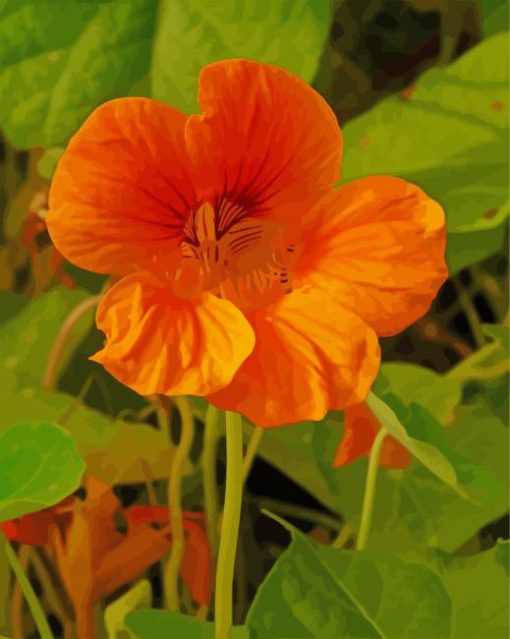 Nasturtium Flower Plant Diamond Painting