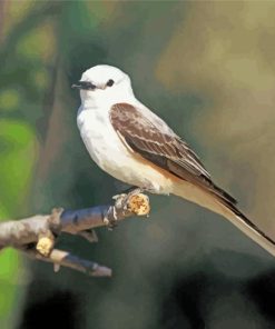 Oklahoma Flycatcher On Branch Diamond Painting