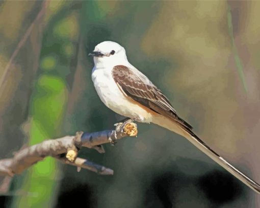 Oklahoma Flycatcher On Branch Diamond Painting