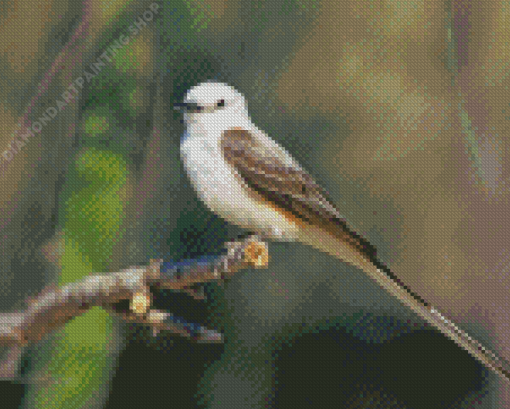 Oklahoma Flycatcher On Branch Diamond Painting