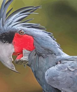 Palm Cockatoo Diamond Painting