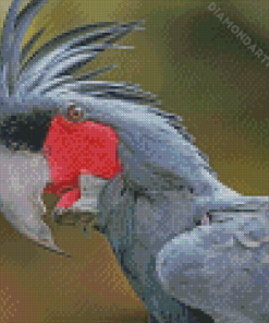 Palm Cockatoo Diamond Painting