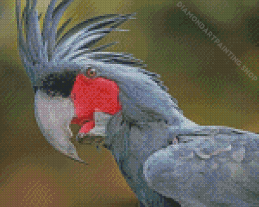 Palm Cockatoo Diamond Painting