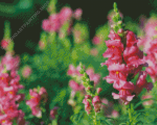 Pink Snapdragons Diamond Painting