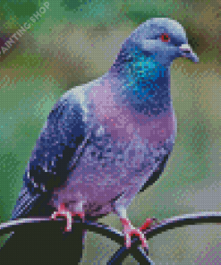 Purple Dove Bird Diamond Painting