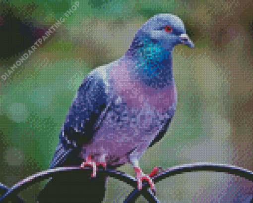 Purple Dove Bird Diamond Painting