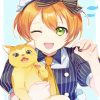 Rin Hoshizora And Cat Diamond Painting