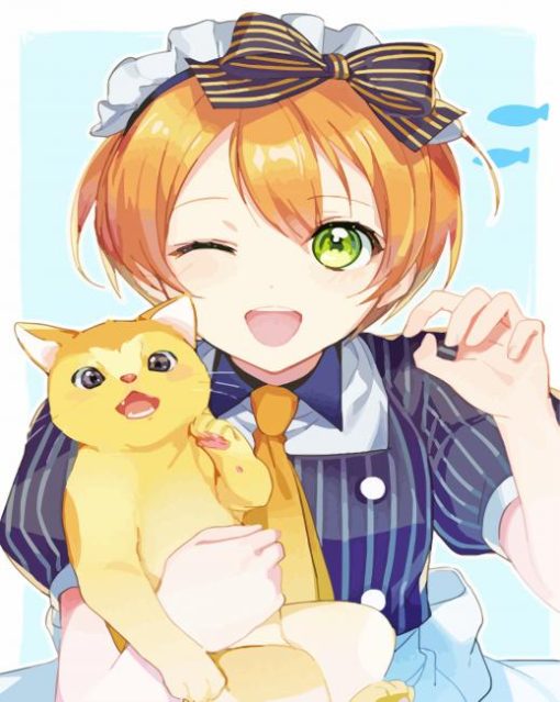 Rin Hoshizora And Cat Diamond Painting