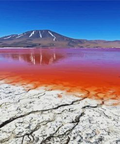 Salt Lake Laguna Colorado Bolivia Diamond Painting