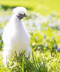 Silkie Chicken Bird Diamond Painting